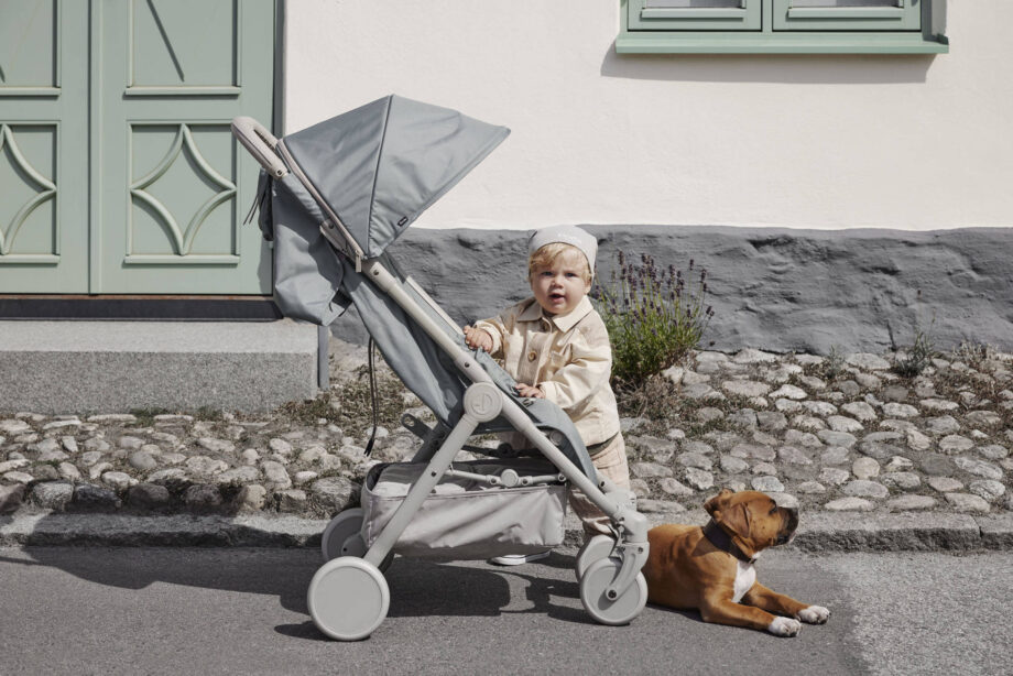 vaikas su vežimėliu ir šuniu