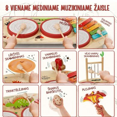 Lehoo Castle Montessori medinis muzikinis žaislas 8in1